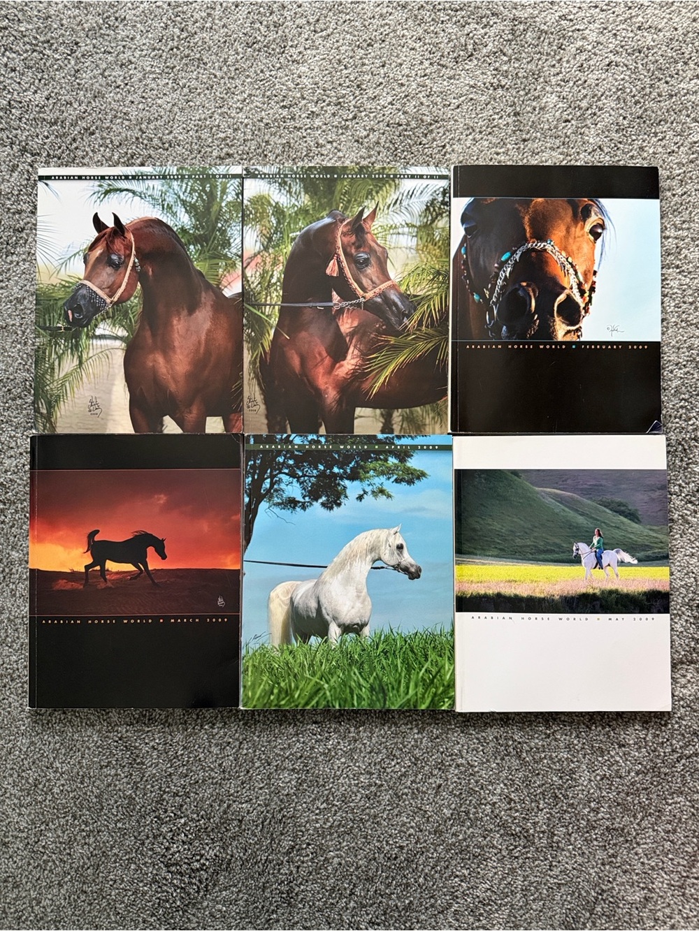 Arabian Horse World Magazines 2009